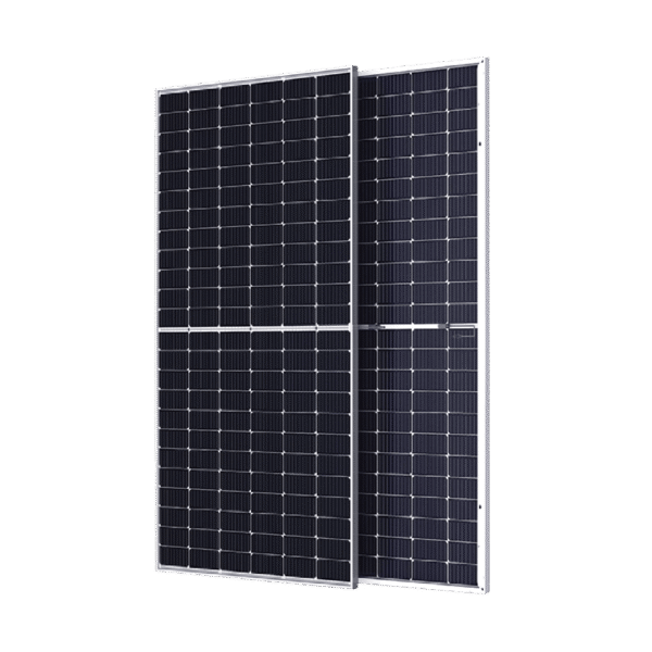 Bifacial Module