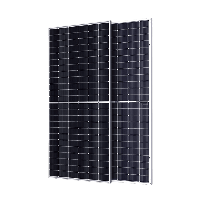 Bifacial Module